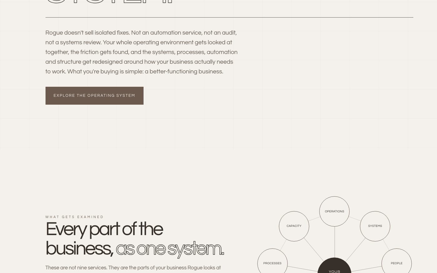 Rogue Business Consultancy website section: The offer, then a map of every part of the business Rogue looks at